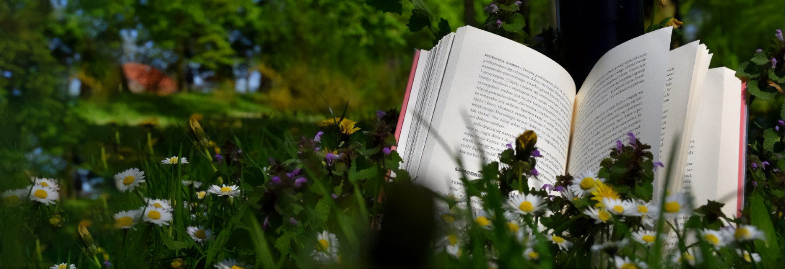 Książka jest niczym ogród, który można włożyć do kieszeni